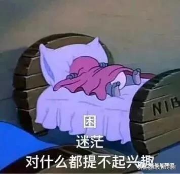 I.O.I又一次被传重组,还能信吗?