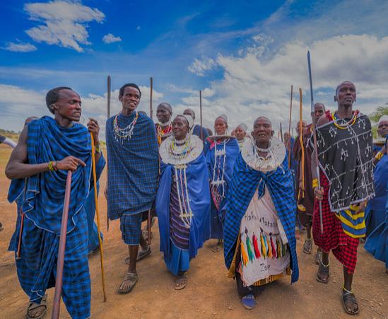 坦桑尼亚之旅,坦桑尼亚东非草原