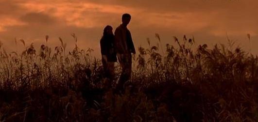 《假如爱有天意》一部爱情片让人看不腻的三个特点