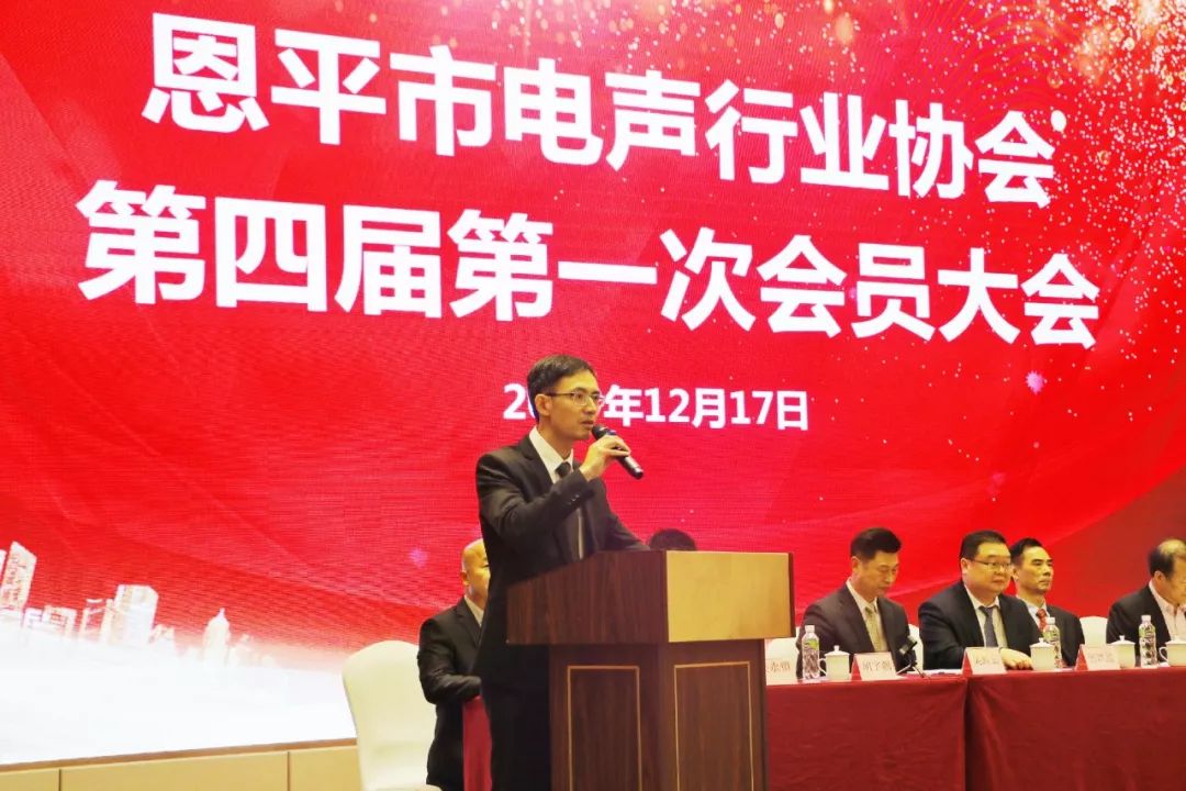 恩平电声行业协会成员,恩平协会