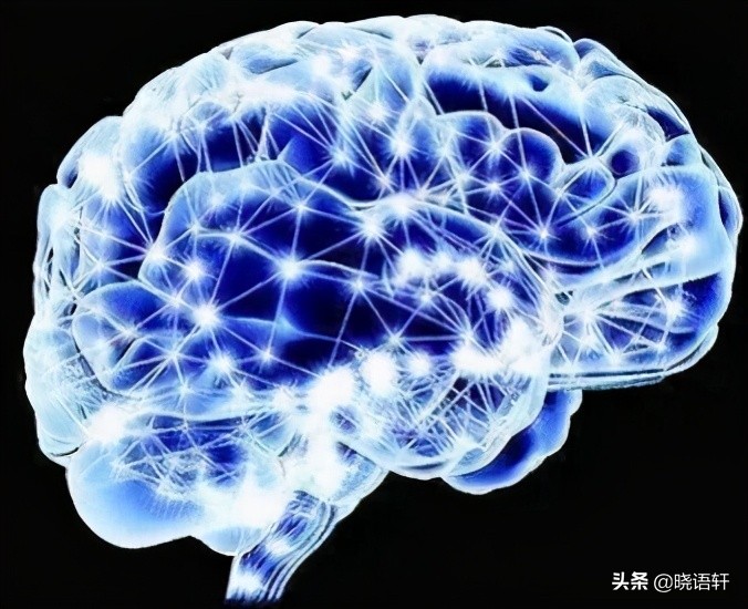 思维导图的基本画法,思维导图的作用与画法