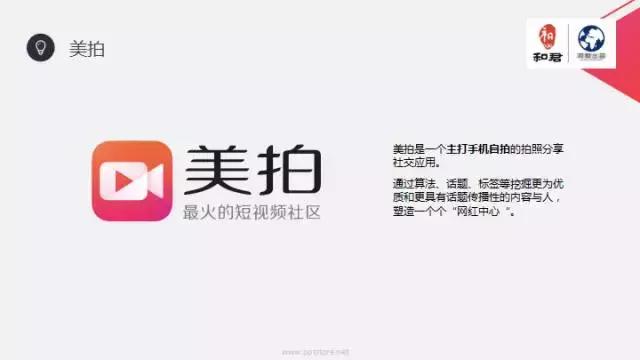 文娱行业地毯扫描：论吃喝玩乐我只服这四个天才！