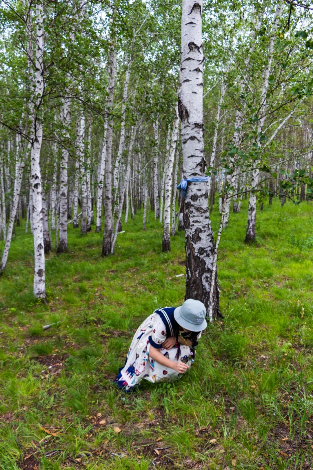 自驾三天呼伦贝尔大草原,自驾去呼伦贝尔草原七日游的攻略