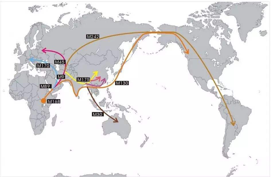 为什么黑黄白人种没有生殖隔离,黄种人和黄种人有生殖隔离吗