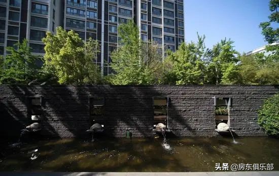 东棠之后，还有西棠。高新区扛把子一出，谁与争锋？