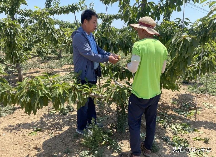 7天3000公里,宝马x57000公里发现烧机油