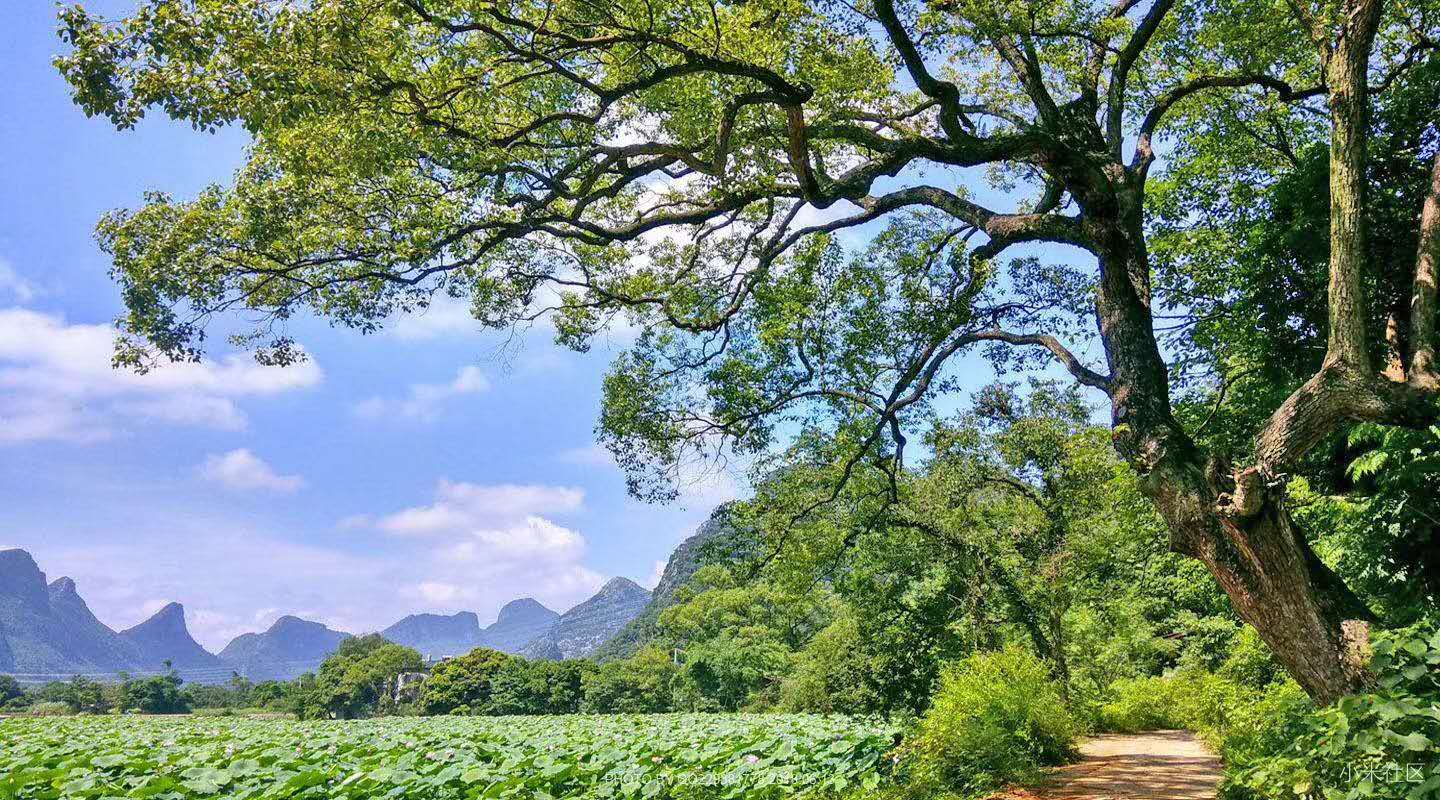 一位农民作家眼中的乡村变迁,一个老农眼中的春晚