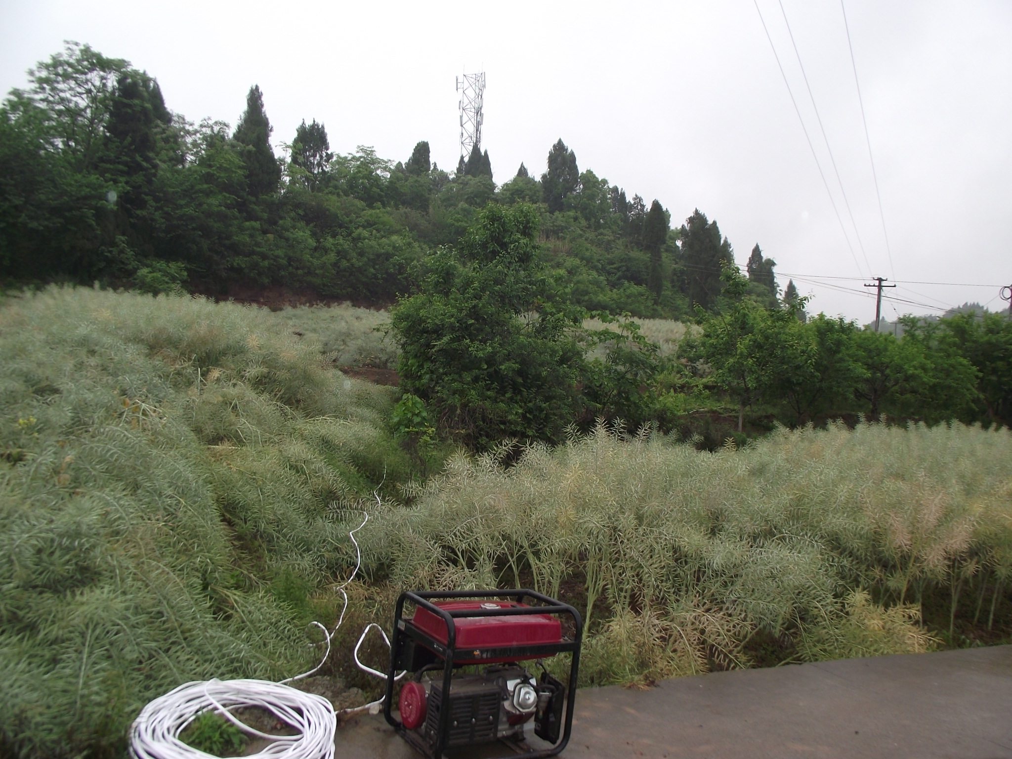 基站维护员学徒,辛苦的后勤维修工