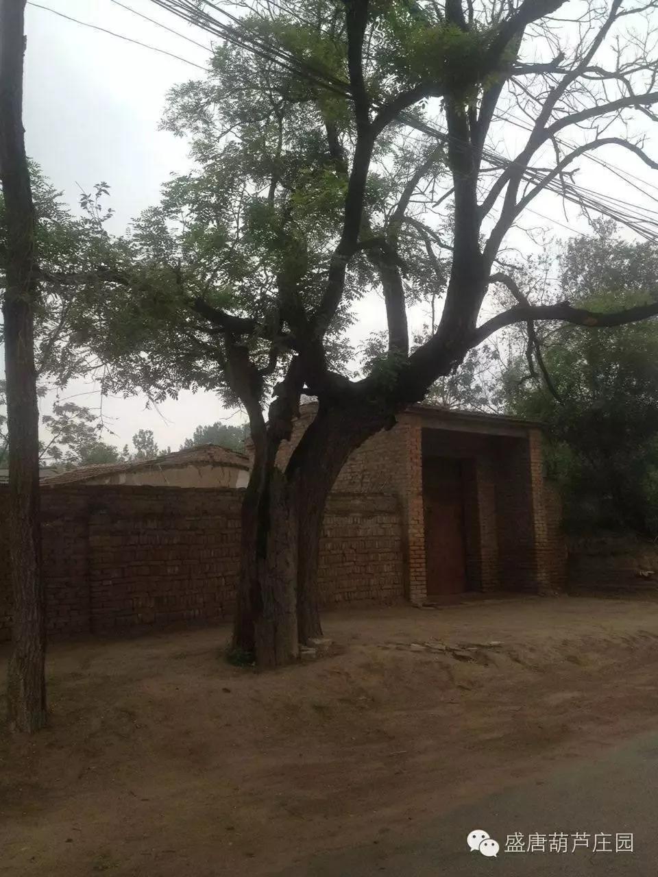 韩庄村历史,走过千年的古街来到你身边