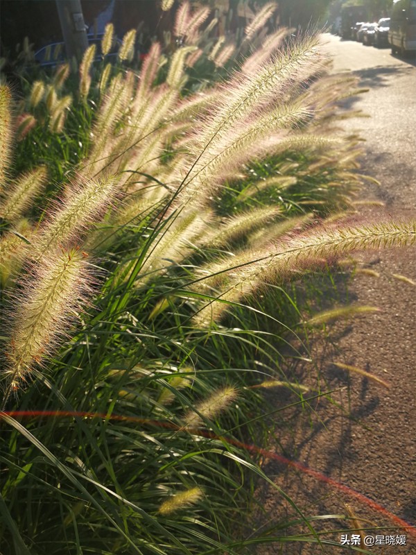 恋人性格多变怎么办,恋人变冷淡怎么办