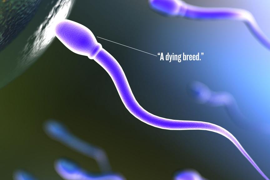 念珠菌病的病原及症状如何医治,念珠菌和白色念珠菌有什么区别