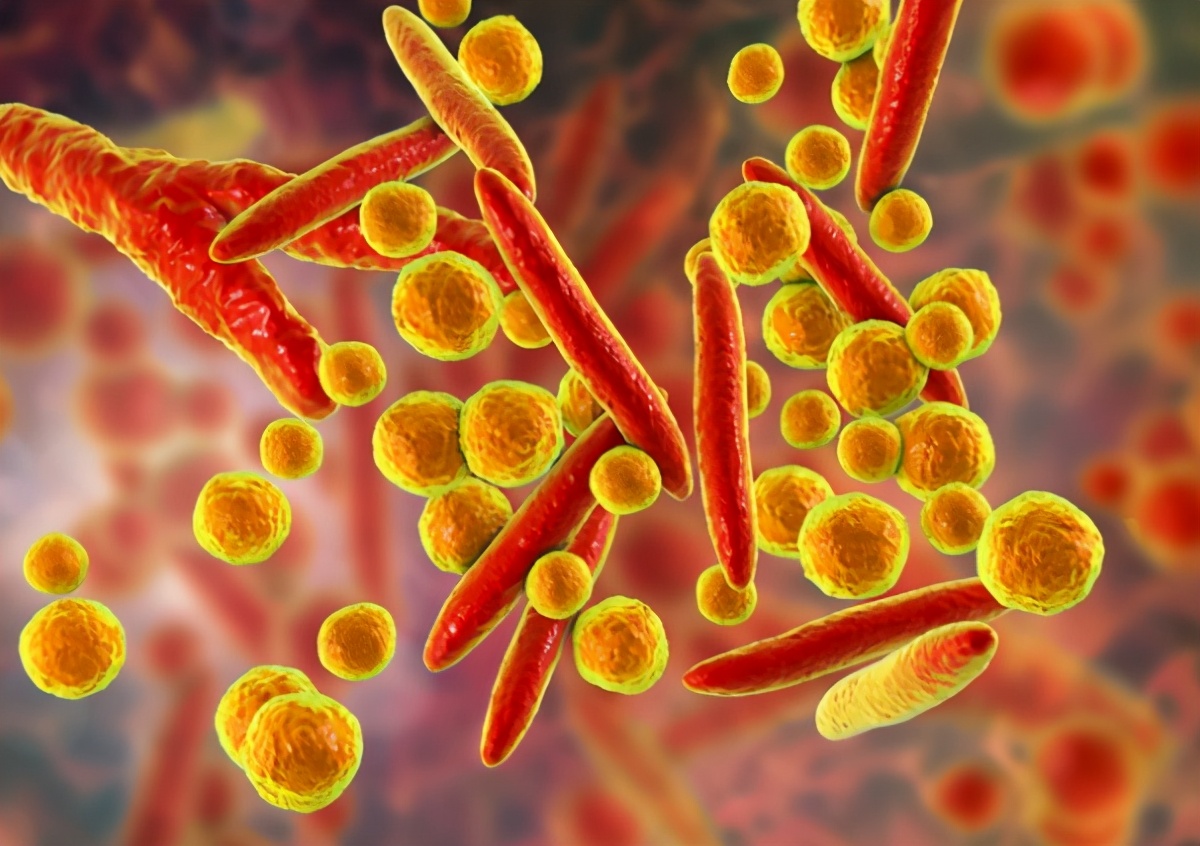 支原体培养和细菌培养有什么区别,细胞培养基是什么主要作用