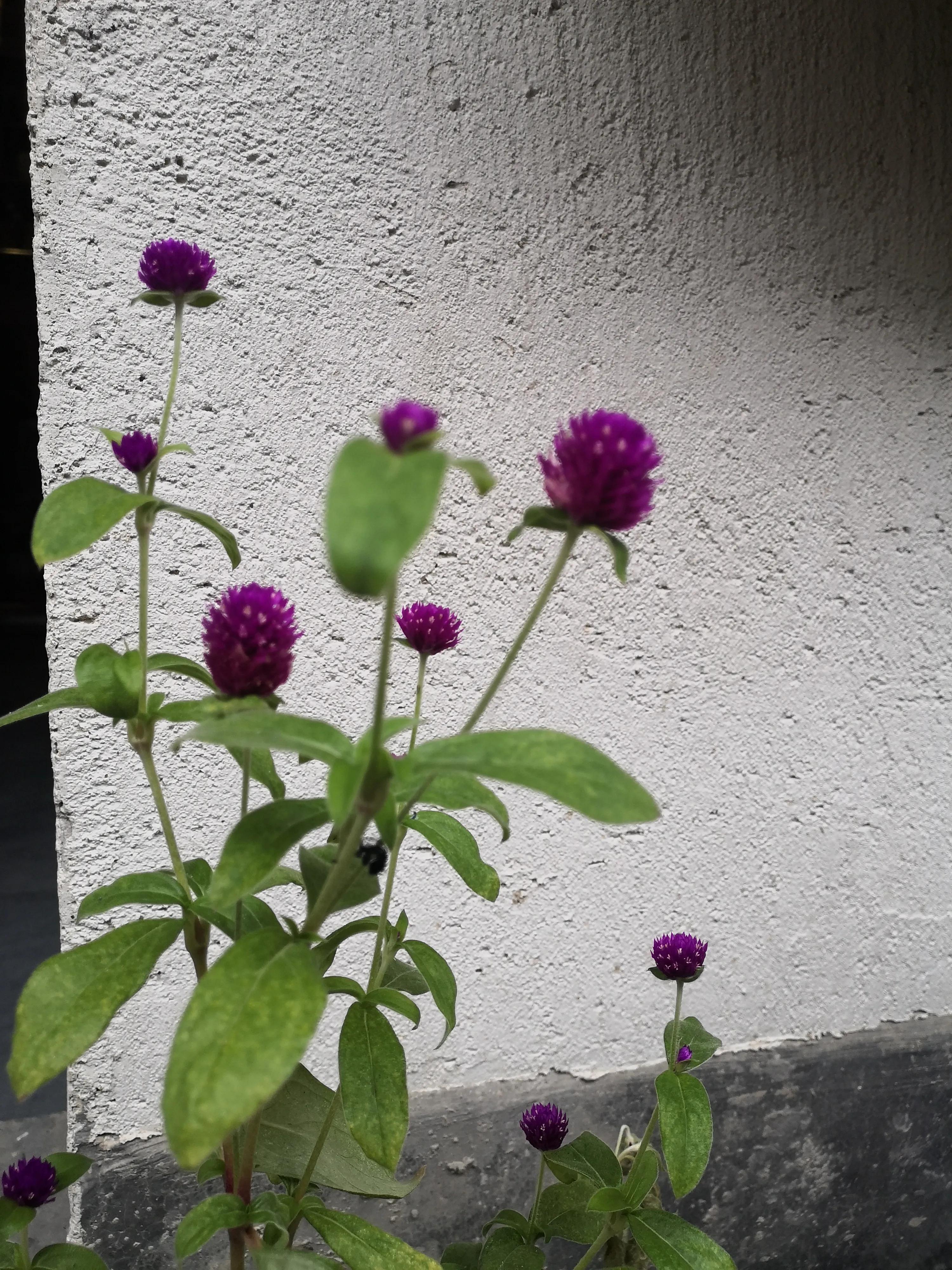 瀹忔潙闂叉儏闆呯瓚瀹㈡爤,瀹忔潙澶滈洦浜哄瀹㈡爤