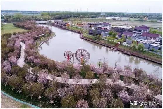 泰州水城水乡国际旅游节哪几天,泰州水城水乡