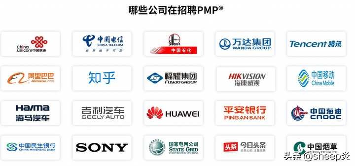 pmp证哪个颁发的最好,pmp证在哪个行业比较有用