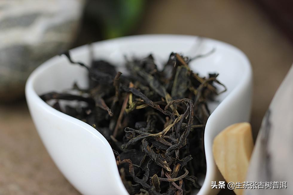 古树普洱茶与普通普洱茶区别大吗,古树白茶和古树普洱茶的区别