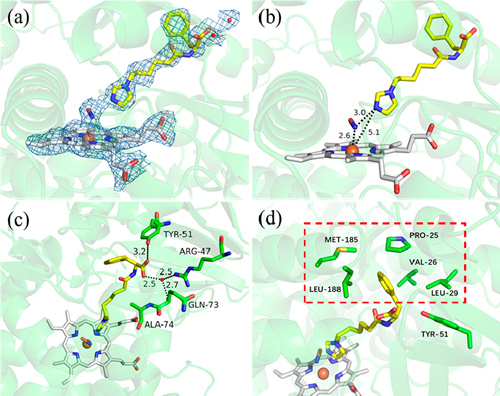 中科院青岛能源所丰元股份,中国科学院青岛能源与过程研究所