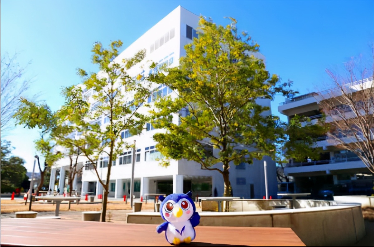 明治大学毕业在日本就业,明治大学就业前景如何