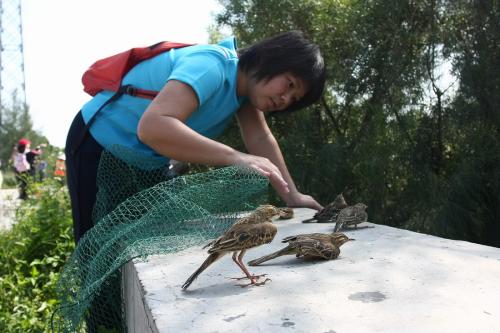 鸟儿放生抖音最火版,放生鸟最好在什么时候放生