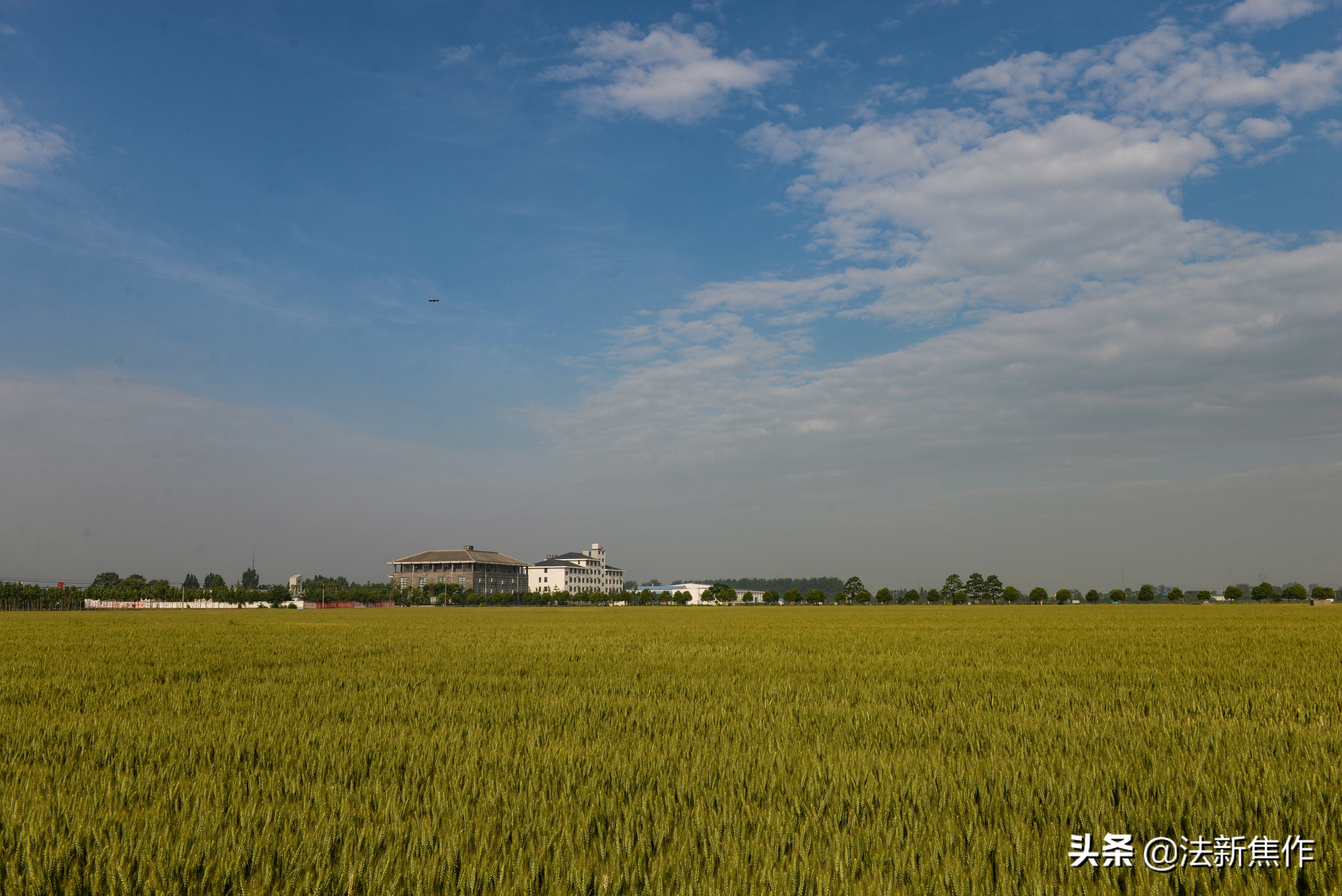 建党百年感人诗歌,献礼建党百年诗
