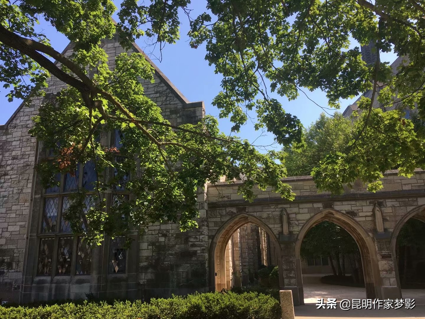 天堂斯顿童话般的校园——我的美国游记（6）