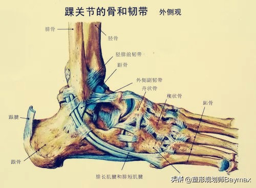 崴脚了怎么办最快最有效的方法,崴脚总是崴一个地方怎么治疗