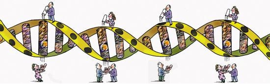 乱补雌激素引发乳腺癌,补雌激素能导致乳腺癌吗