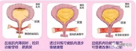 产后恢复最佳时间表,产后恢复时间表瑜伽