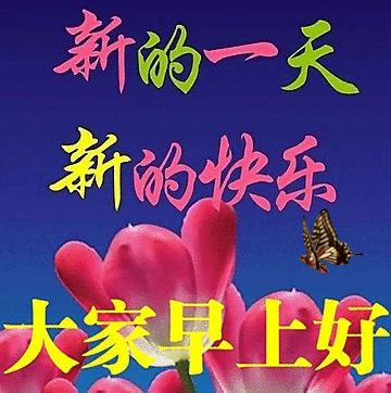 周一早安问候表情包,周末早上好表情包带字问候