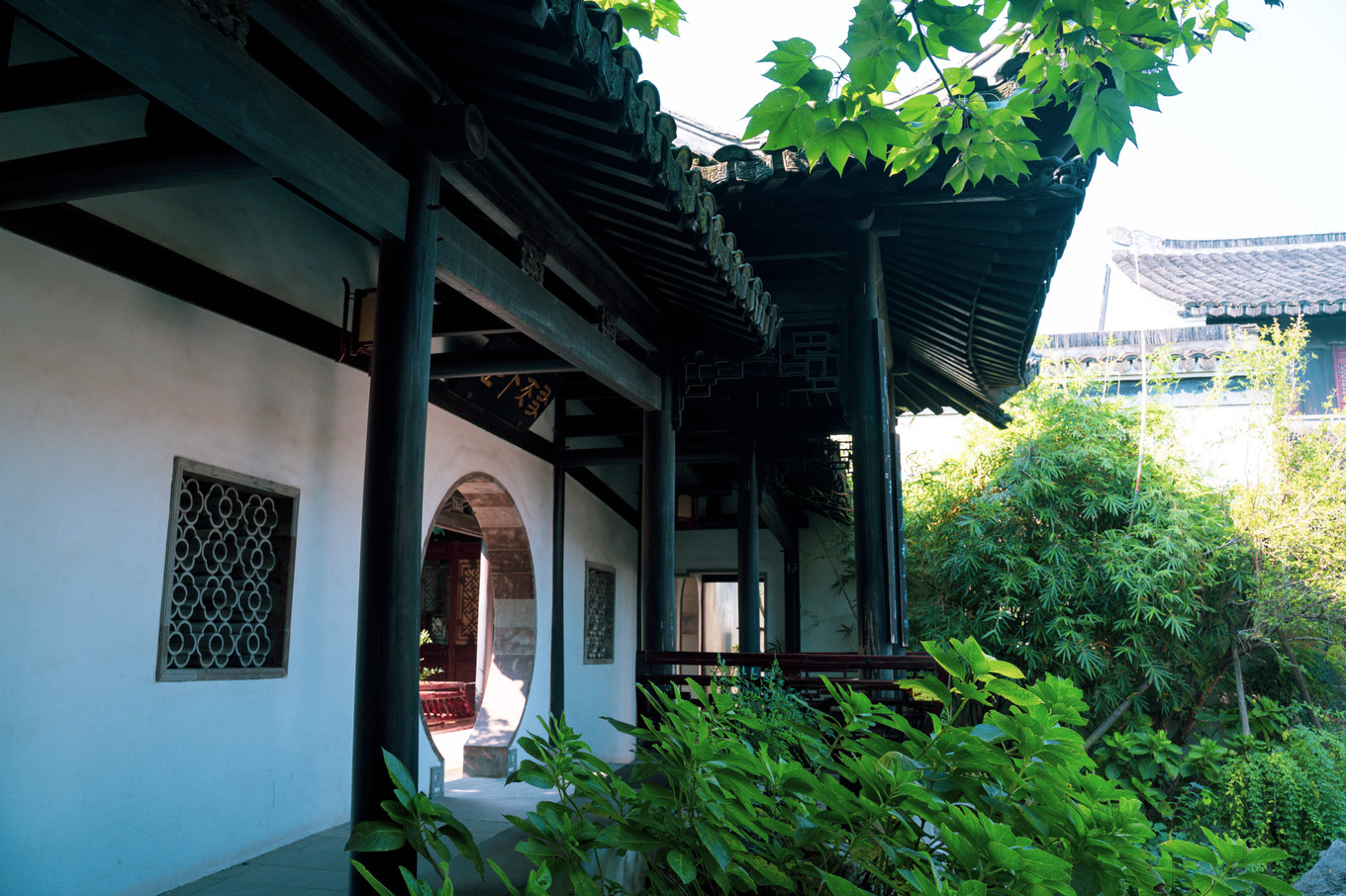 不仅仅是皮革,海清潮静——海宁