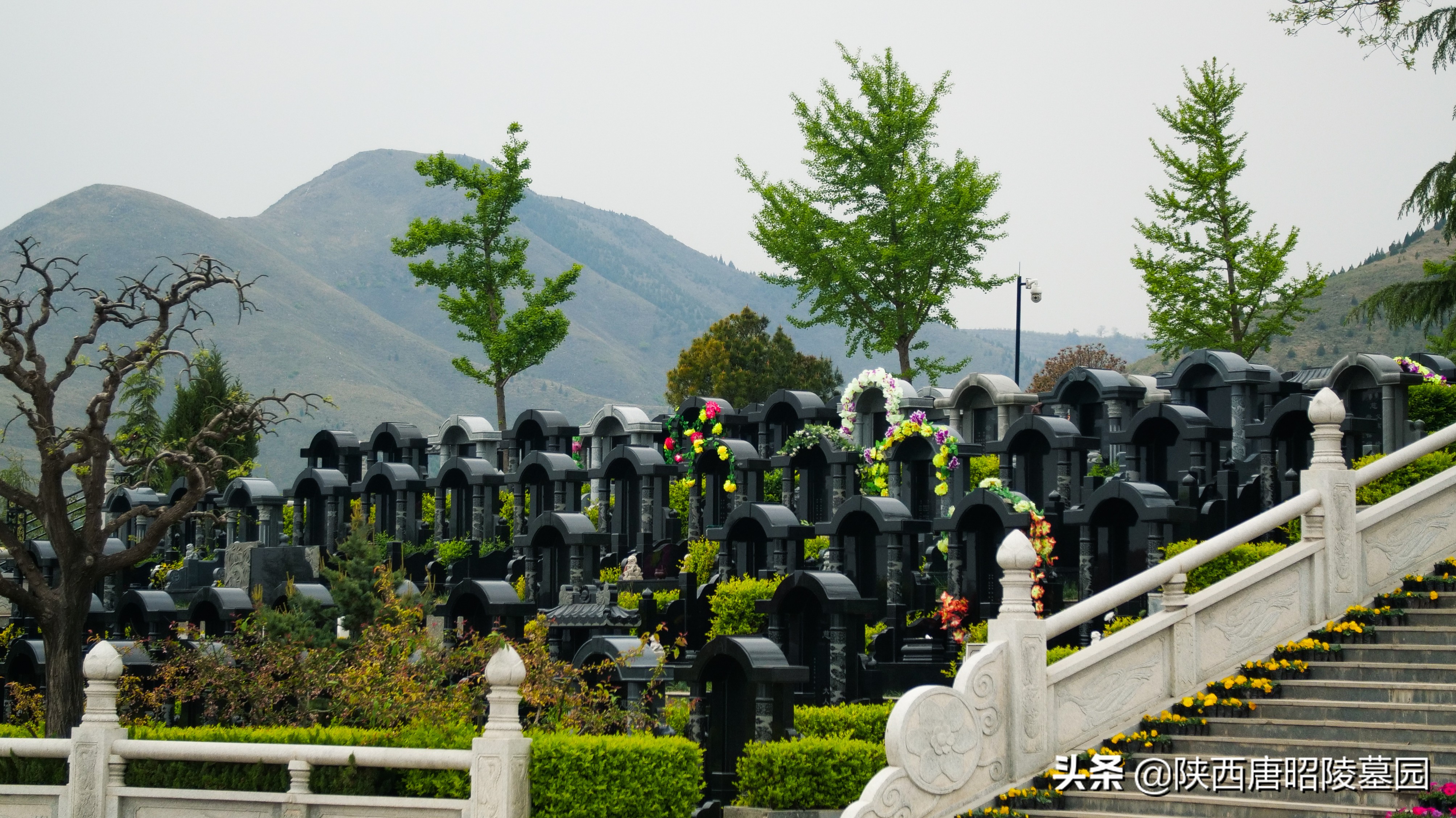 西安有哪些墓可以买,西安墓地如何办理退墓或迁墓手续