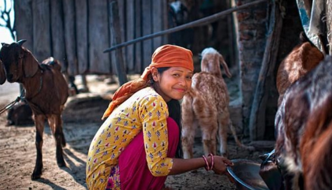 尼泊尔一妻多夫制的家庭现状,尼泊尔一妻多夫的制度