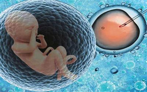 精子检查里面没有精子怎么治疗好,精子常规没问题就能生育吗