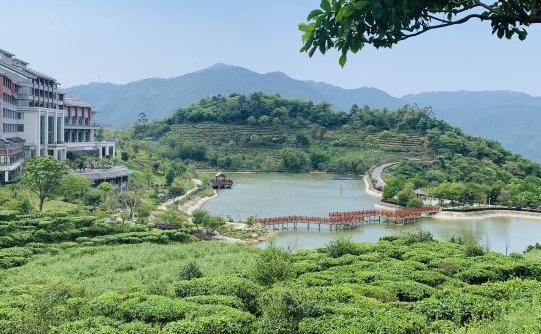 藏在云浮深山的农庄,云浮禅山度假酒店