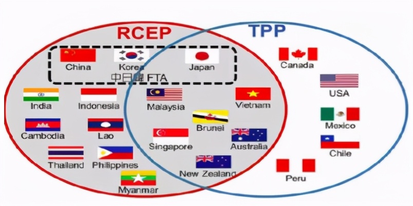 每日重仓股一览表,股市整盘怎么决策
