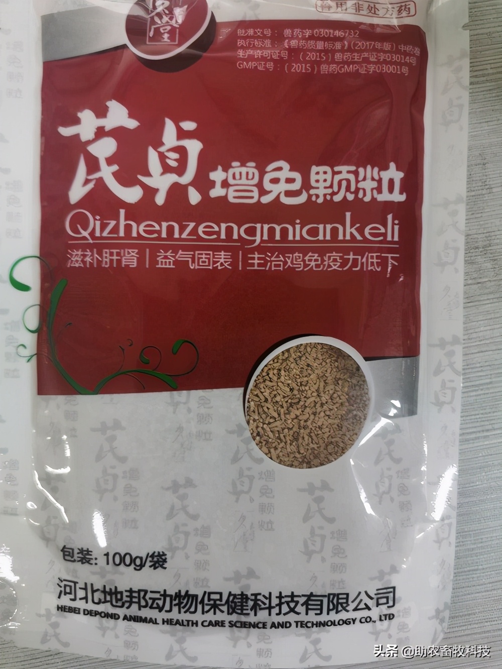 鹅肠道病的症状与治疗,快速判断鹅病的四种方法