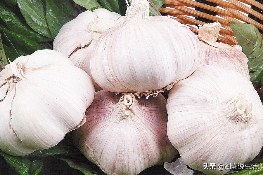 食物的异味怎么办小妙招,去除冰箱食物异味最有效的方法