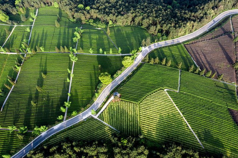 重庆定心茶园旅游攻略,重庆定心茶园攻略