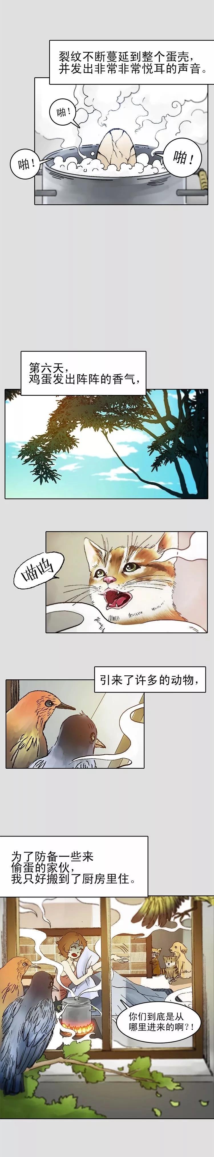 甜甜漫画短篇,水煮鸡蛋漫画大全