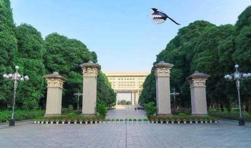 广西大学是什么档次大学,广西大学分出去的大学有哪些