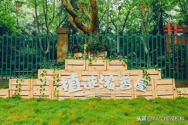 AMO爱茂机构揽获金蜜蜂六项大奖,以新媒体为核心抢占营销C位