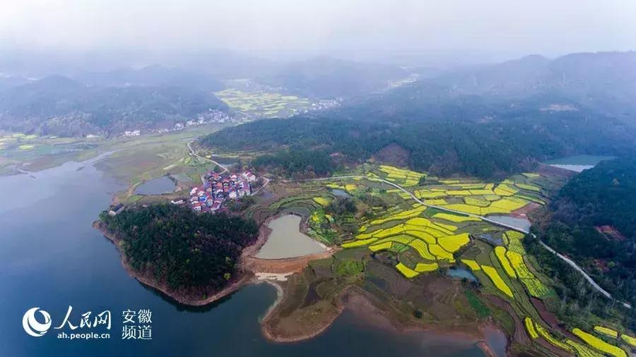 安徽春天去哪看花,安徽春天赏花攻略景点推荐