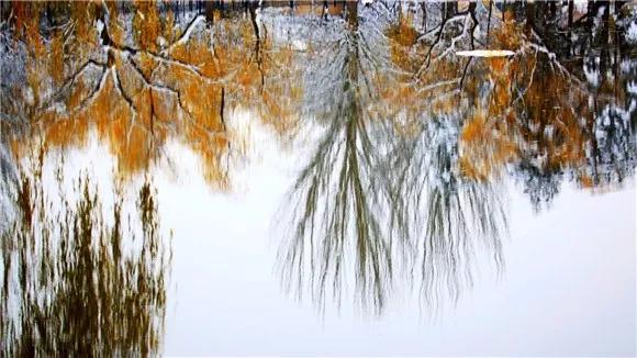 远离低级的人深度好文,深度好文远离身边这三种心穷的人