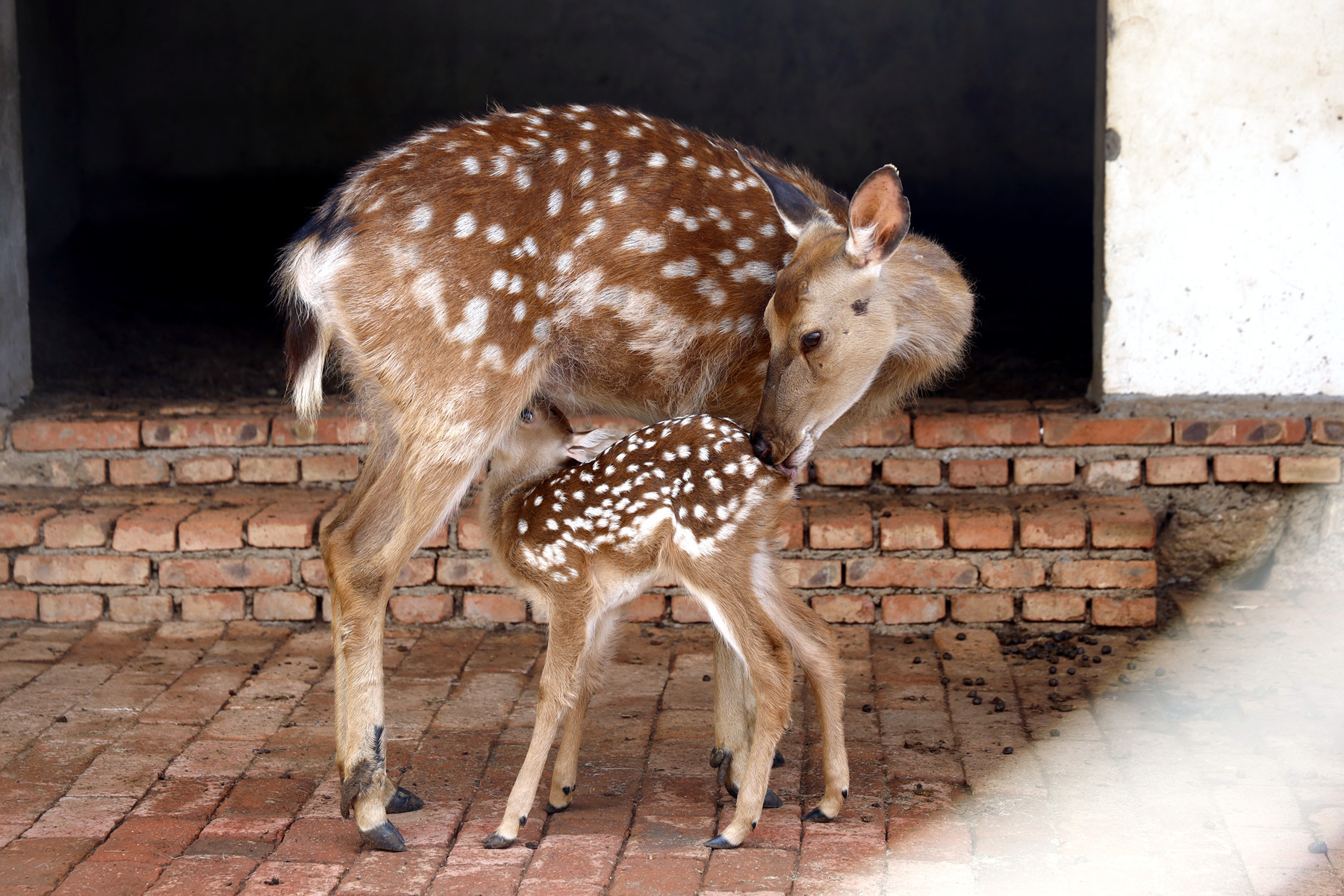 燕山第一峰,这座山高得像什么似的填空
