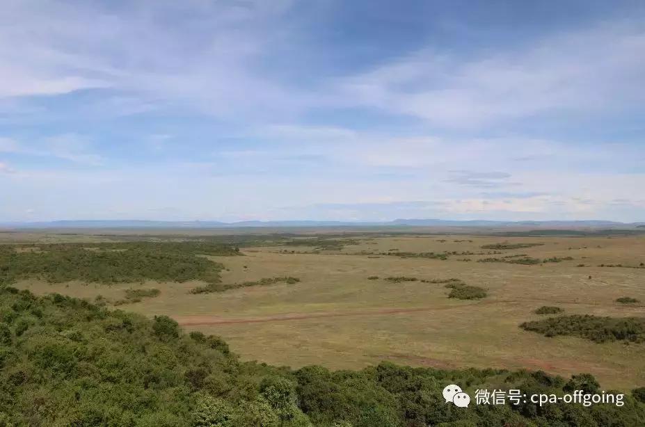 这个野奢的国度，欧美、日韩人都爱去，为何我们国家没人去？