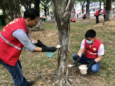 番禺|桥南街开展“大小齐动手,大树换新装”社区美化活动