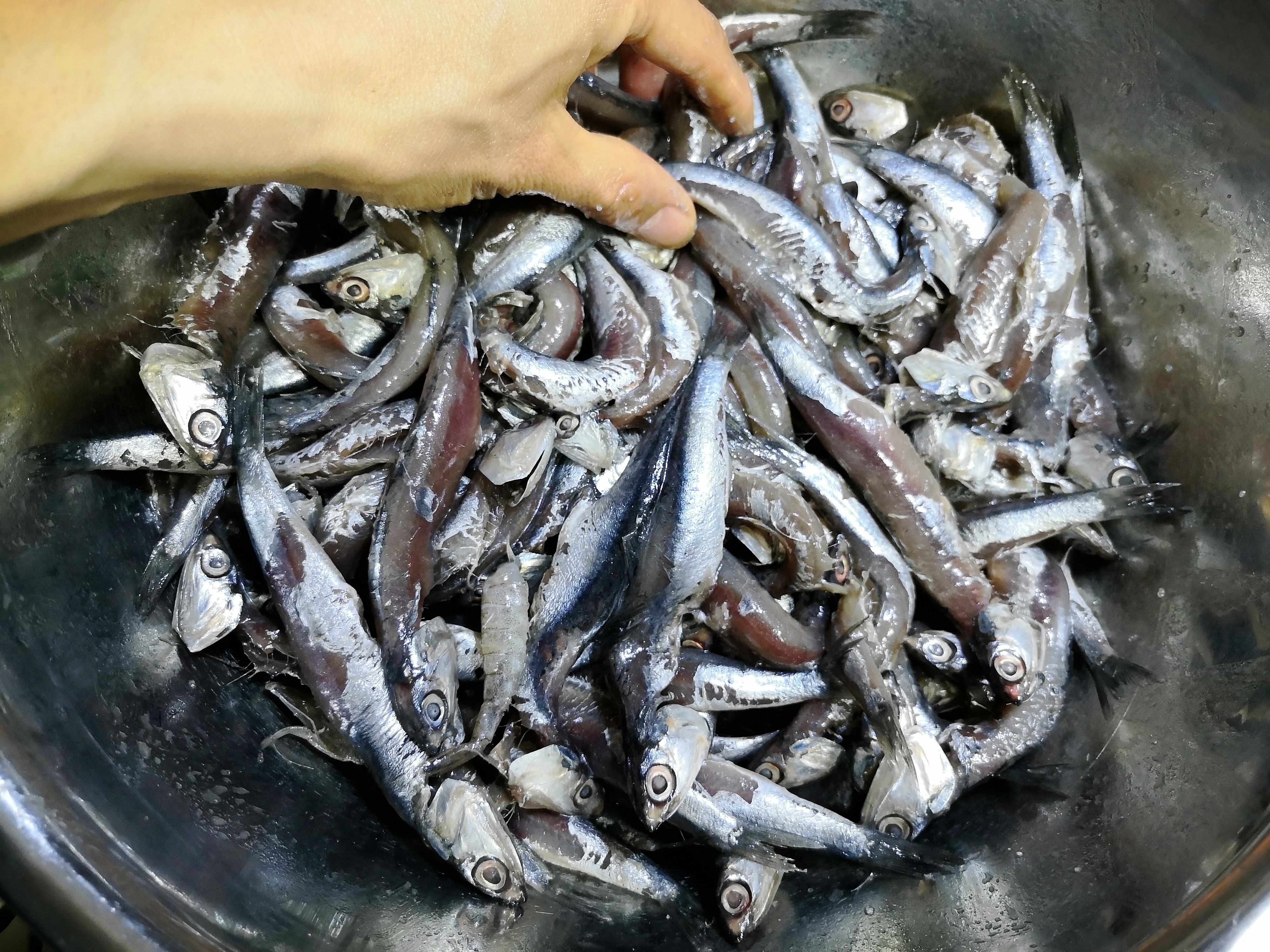 30年前的鱼干怎么做,渔民怎么晒鱼干