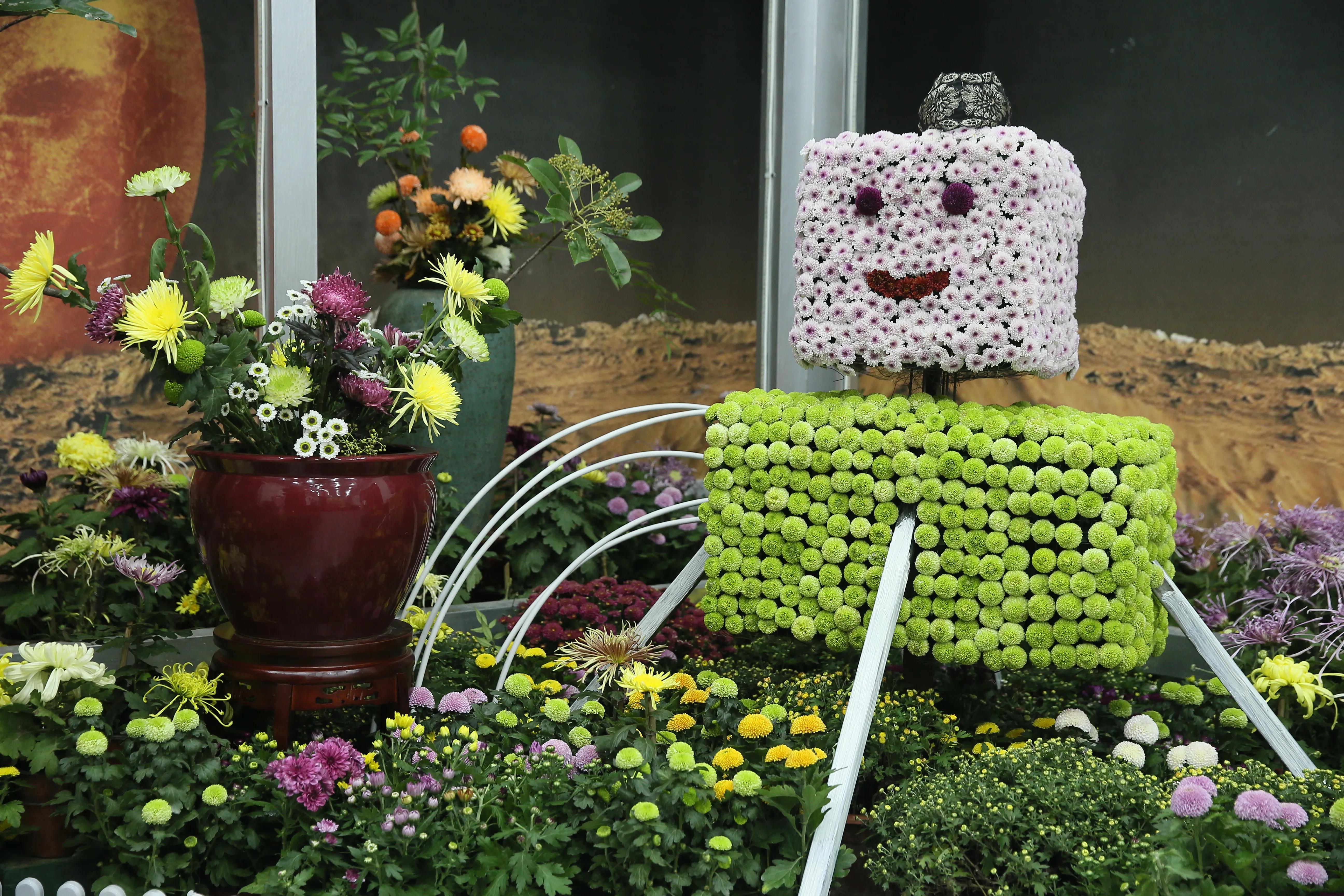 开封第十届国际菊花展8k高清视频,开封菊花文化节隆重开幕