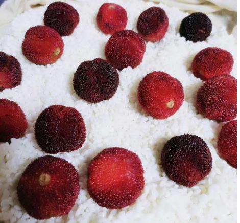 酒酿杨梅酒,杨梅红枣糯米酒