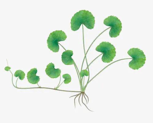 皮肤没光泽怎么修复,皮肤没营养怎么调理